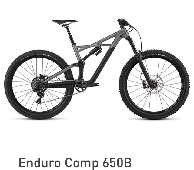 enduro 650b